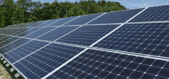 Agriculture: FAO supports three states with solar-powered boreholes Agriculture: FAO supports three states with solar-powered boreholes