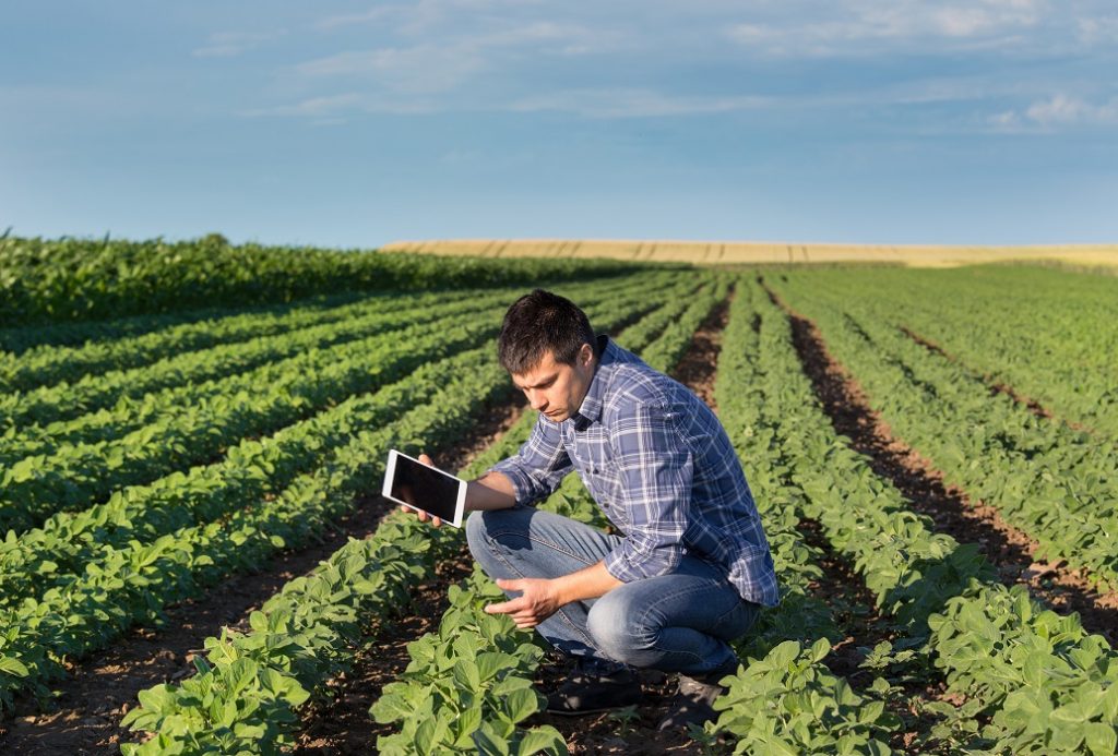 Agribusiness academy restates commitment to improving Soybean value chain