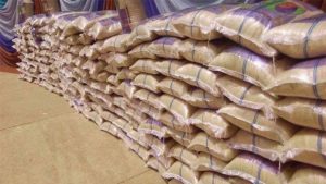 New rice floods Katsina markets, as farmers begin harvest