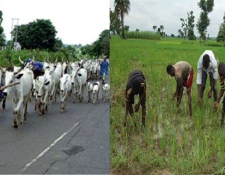 Don proffers solutions to herdersfarmers clashes Herders, Farmers