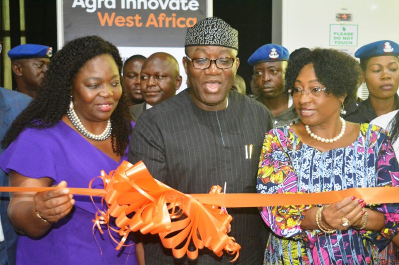 Ekiti governor wants improved access to agric finance