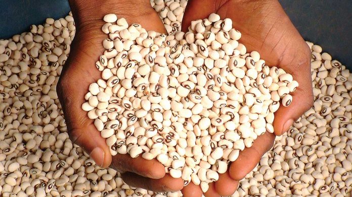 Food preservation: Agric minister frowns at use of sniper