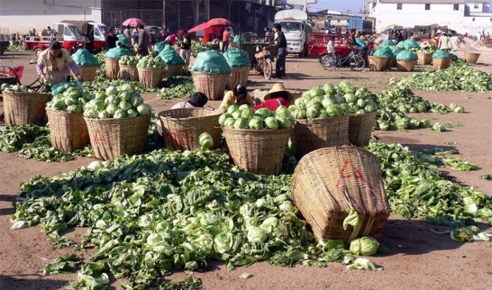 Group seeks increased budgetary allocation to agriculture Group seeks increased budgetary allocation to agriculture
