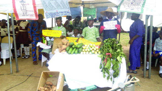 Helen Keller holds harvest fair on school gardening Helen Keller holds harvest fair on school gardening