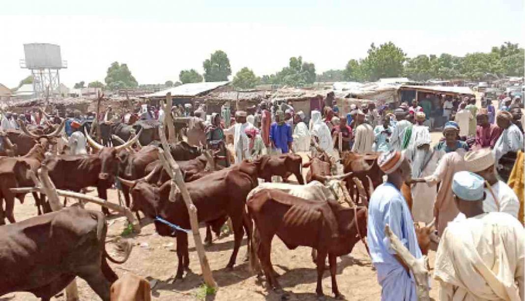 Livestock owners at Damaturu Livestok market in Yobe State.