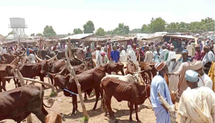 Livestock owners at Damaturu Livestok market in Yobe State.