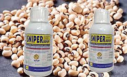 ‘How beans treated with Sniper kill slowly’ 