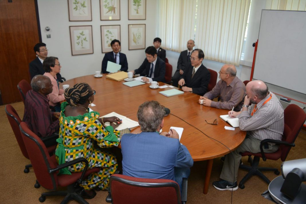 senior iita management