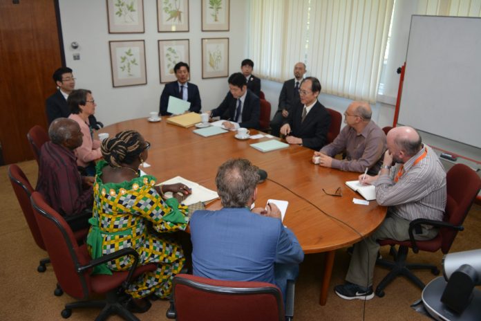 senior iita management