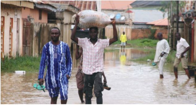 NIWA Set To Convert Onitsha Floodable Plains For Agric, Cattle Ranching Leadership Nigeria Newspapers