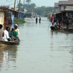 Flood destroys rice farms in Taraba