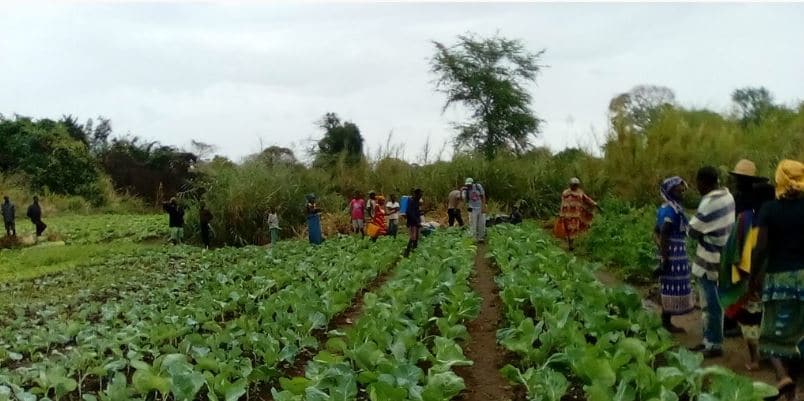 Niger seeks World Bank’s assistance to revive 17 irrigation schemes ▷ Nigeria news Niger seeks World Bank’s assistance to revive 17 irrigation schemes ▷ Nigeria news