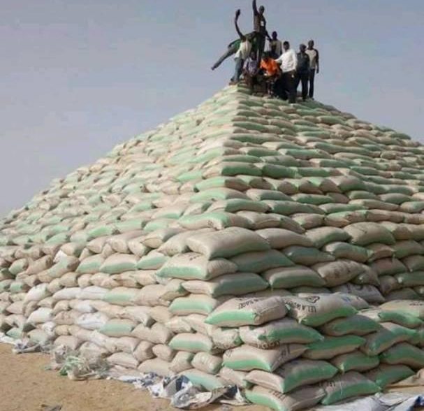 Nigeria records reduction in rice importation, no dollar allocated for rice – CBN The Eagle Online