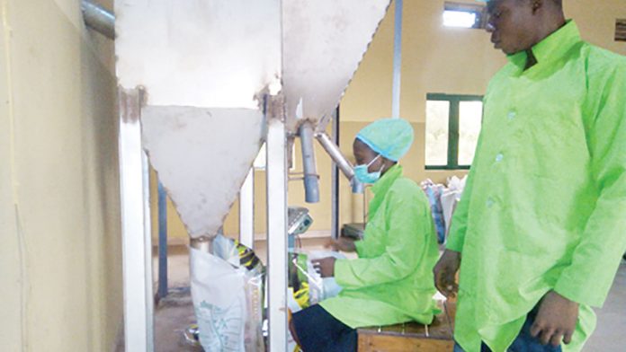 Ogun plans 150,000 bags of MITROS Rice in December 