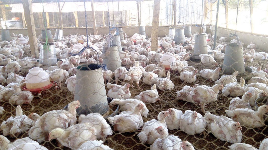 Osun partners World Bank on feeder roads to farm settlements