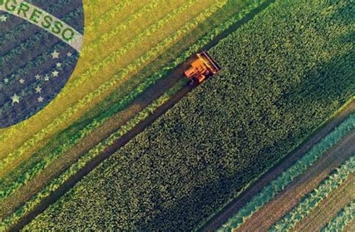 Proposed merger of Brazilian environment, agriculture ministries criticized