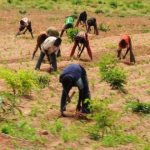 Remove tax duty on farm implements farmer begs govt