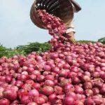 Onion farming can generate N151bn annually – Group