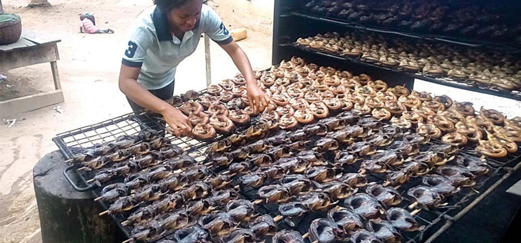 ‘Why America banned Nigeria processed fish’ 