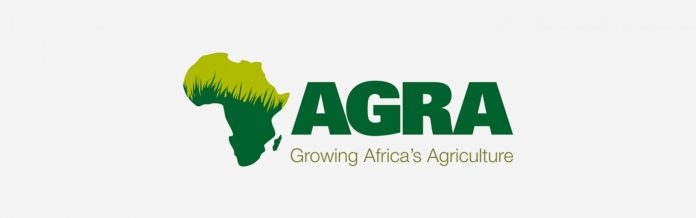 AGRA plans $30m for seed value chain AGRA plans $30m for seed value chain
