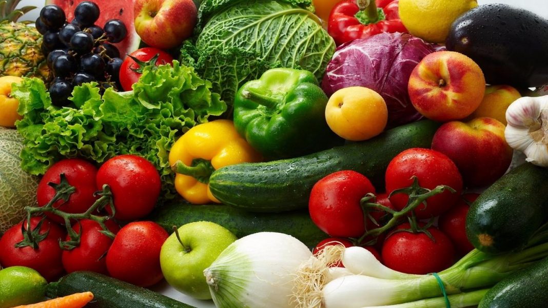 CSOs protest influx of GMOs products into Nigeria | 