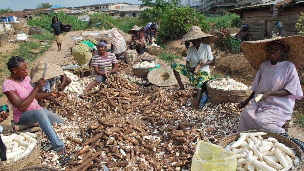 Fighting food, poverty challenges through women equity in land ownership | 