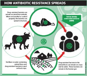 How Science Is Catalysing Biofortification Of Food To Curb Malnutrition And Poverty