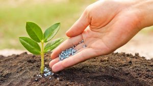 ‘Pesticides affecting farmers’ produce