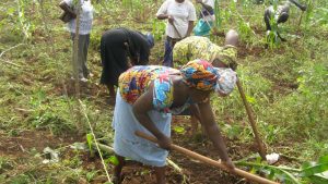 FG inaugurates Committee to Support Small Farmers Productivity