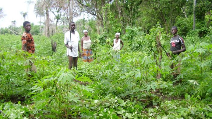Stakeholders urge FG to be proactive in farmers, herders clashes  | 