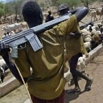 Kidnapped Adamawa cattle breeders freed after N4.4m ransom
