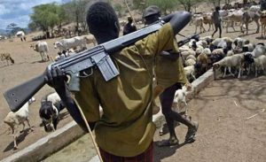 19 Fulani herdsmen killed in gunfight with Boko Haram terrorists