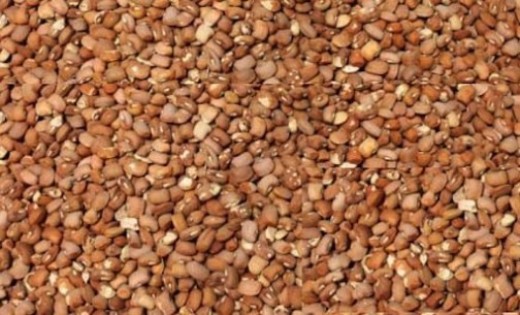 'We must get rid of sniper beans' 