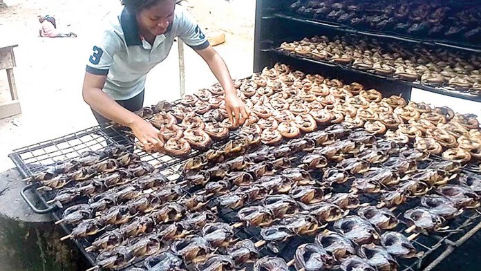 Why US may not lift ban on processed fish, others soon | 
