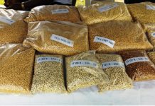 11 Seeds You Should Be Eating Why we invest in early generation seeds in Nigeria