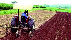 Akwa Ibom govt invests in flour business as product hits market
