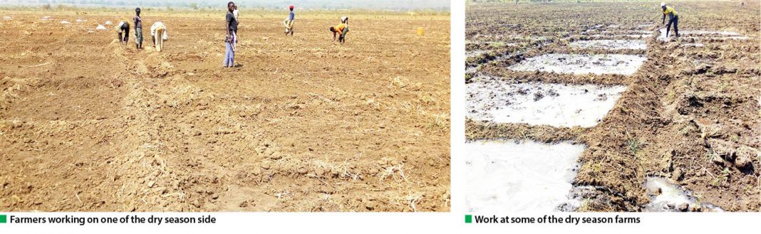 Wheat farmers speak on challenges of 2018, expectations of 2019 