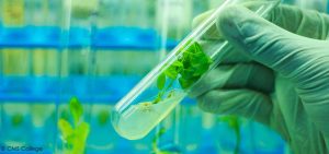 NSPRI Urges FG to Activate Trust Fund For Agro Research Financing 