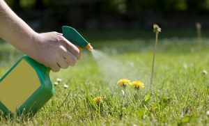 Human Health in Nigeria Threatened by Uncontrolled Usage of Herbicides 