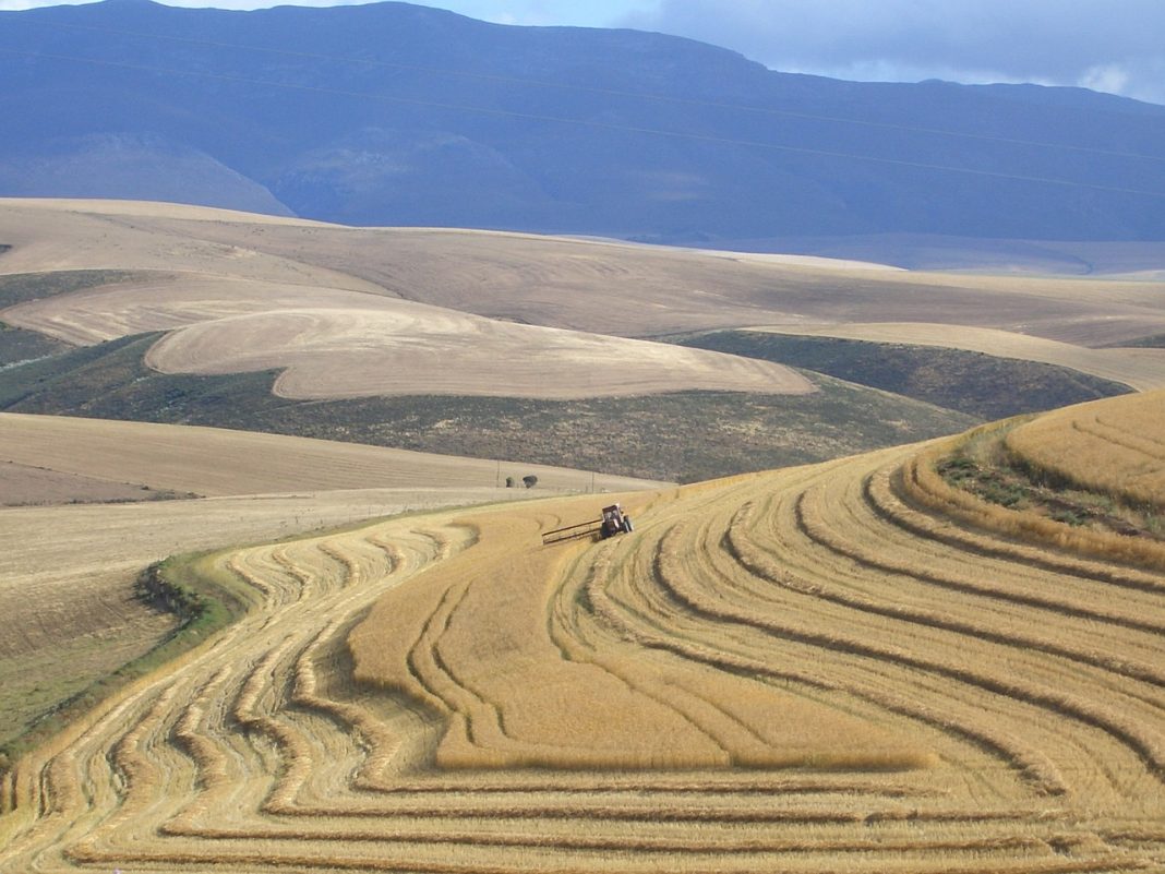Running a Farm Using the Latest Agricultural Health Technology