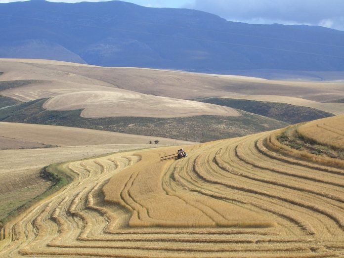 Running a Farm Using the Latest Agricultural Health Technology