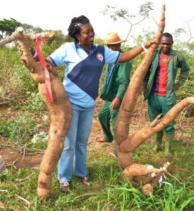 Father of Cassava, Dr. Dixon, proffers strategies on how researchers can disseminate agricultural innovations at scale