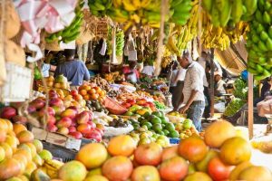 Agric Summit: Positioning Nigeria to feed Africa