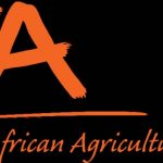 A continental gathering for food safety, to combat aflatoxin in Africa’s food