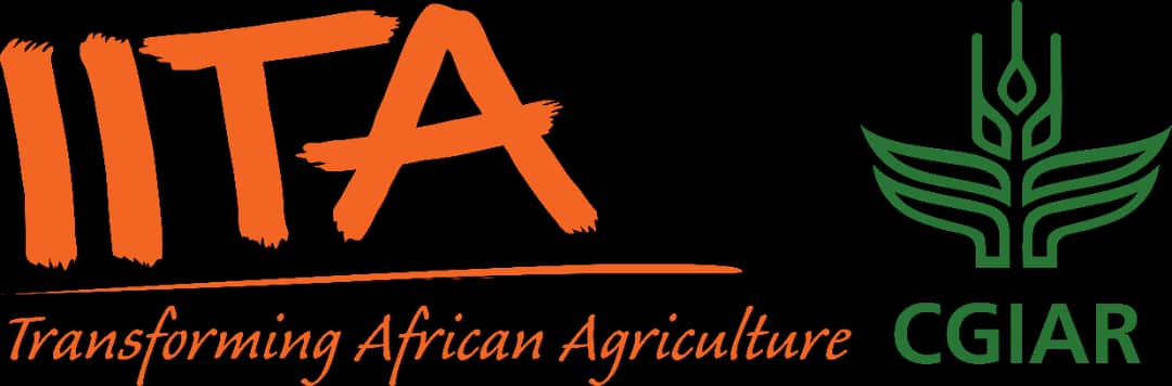 IITA client-image