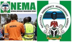 NEMA inspects farmlands of 2018 flood victims in Niger