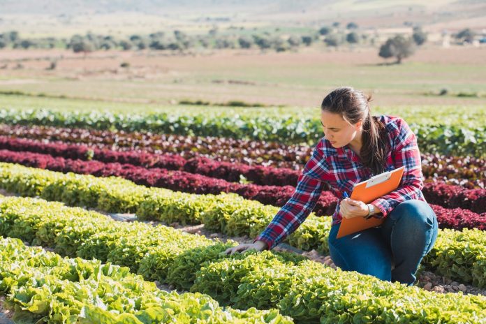6 Things Current Farm Owners Can Teach You About Farming