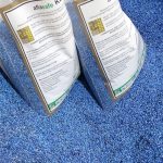 A continental gathering for food safety, to combat aflatoxin in Africa’s food