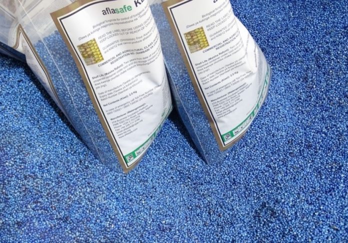 A continental gathering for food safety, to combat aflatoxin in Africa’s food