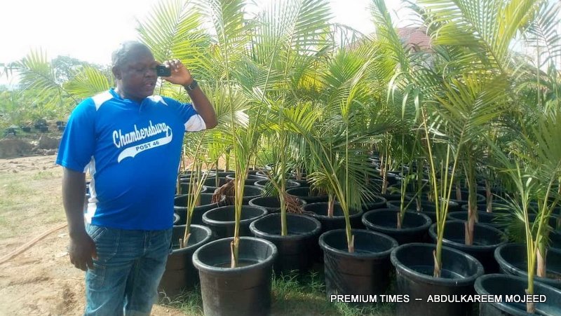 After starting small, Abuja gardeners earn big selling flowers